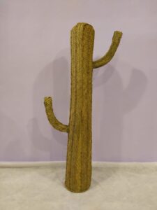 CACTUS DE ESPARTO